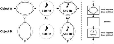 With No Attention Specifically Directed to It, Rhythmic Sound Does Not Automatically Facilitate Visual Task Performance